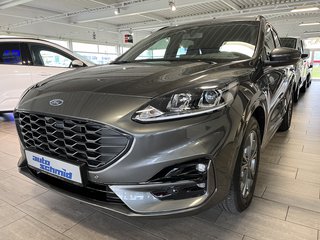 Ford Kuga Gebrauchtwagen Kaufen