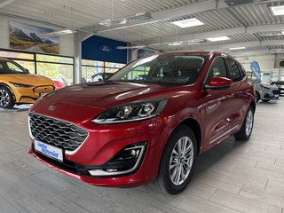 Ford Kuga Gebrauchtwagen Kaufen