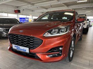Ford Kuga Gebrauchtwagen Kaufen