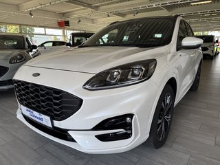 Ford Kuga Gebrauchtwagen Kaufen