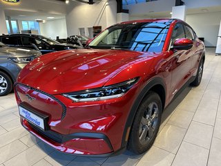 Ford Mustang Mach-E Gebrauchtwagen Kaufen