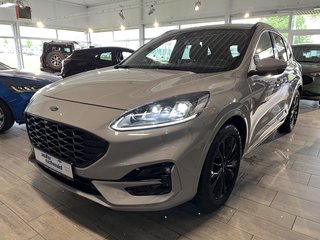 Ford Kuga Gebrauchtwagen Kaufen