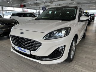 Ford Kuga Gebrauchtwagen Kaufen