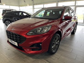 Ford Kuga Gebrauchtwagen Kaufen