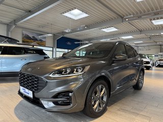 Ford Kuga Gebrauchtwagen Kaufen