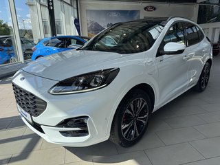 Ford Kuga Gebrauchtwagen Kaufen