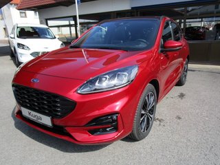 Ford Kuga Vorführfahrzeug Kaufen
