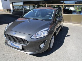Ford Fiesta Gebrauchtwagen Kaufen