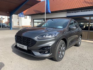 Ford Kuga Vorführfahrzeug Kaufen