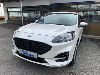Ford Kuga Gebrauchtwagen Kaufen