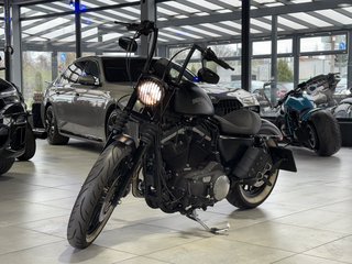 Harley-Davidson Iron 883 Sportster APE MATT 5HD - photo 1