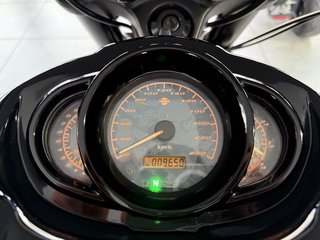 Harley-Davidson VRSCDX V - Rod Night Rod Special Cult Werk Penzl - bilder 20