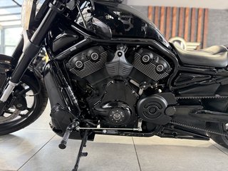 Harley-Davidson VRSCDX V - Rod Night Rod Special Cult Werk Penzl - bilder 17