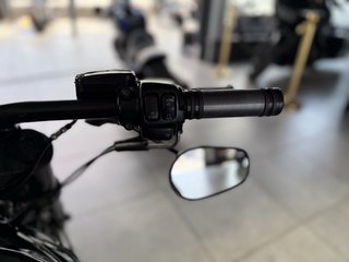 Harley-Davidson VRSCDX V - Rod Night Rod Special Cult Werk Penzl - bilder 19