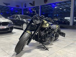 Harley-Davidson Slim S 110 CVO FLSS - photo 1