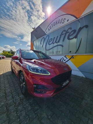 Ford Kuga Gebrauchtwagen Kaufen