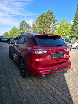 Ford Kuga Plug-In Hybrid ST-Line X/ST-Styling-Paket/LED - foto 7