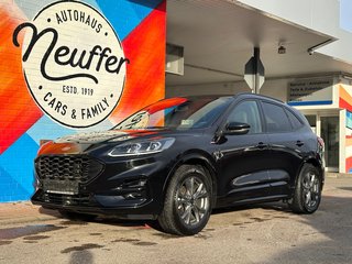 Ford Kuga Gebrauchtwagen Kaufen