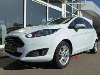 Ford Fiesta Gebrauchtwagen Kaufen