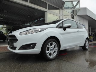 Ford Fiesta Gebrauchtwagen Kaufen