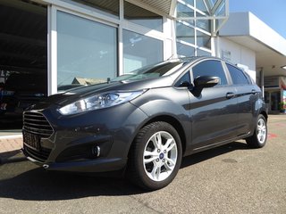 Ford Fiesta Gebrauchtwagen Kaufen