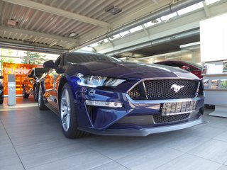 Ford Mustang age.one-day registration Kaufen