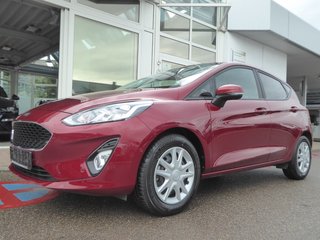 Ford Fiesta Gebrauchtwagen Kaufen