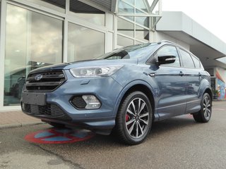 Ford Kuga Gebrauchtwagen Kaufen