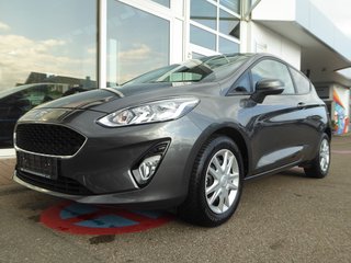 Ford Fiesta Gebrauchtwagen Kaufen