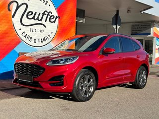 Ford Kuga Gebrauchtwagen Kaufen