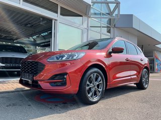 Ford Kuga Gebrauchtwagen Kaufen