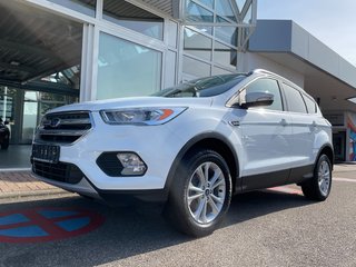 Ford Kuga Gebrauchtwagen Kaufen