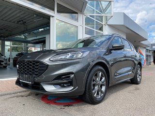 Ford Kuga Gebrauchtwagen Kaufen