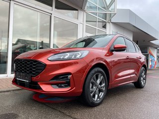 Ford Kuga Gebrauchtwagen Kaufen