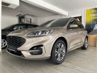 Ford Kuga Gebrauchtwagen Kaufen
