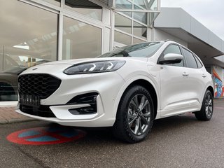 Ford Kuga Gebrauchtwagen Kaufen