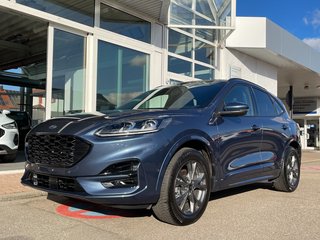 Ford Kuga Gebrauchtwagen Kaufen