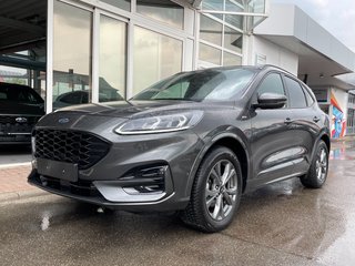 Ford Kuga Gebrauchtwagen Kaufen