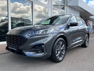 Ford Kuga Gebrauchtwagen Kaufen