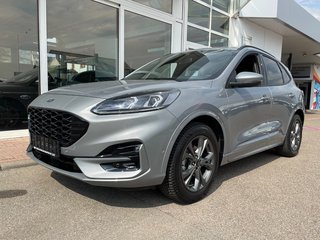 Ford Kuga Gebrauchtwagen Kaufen