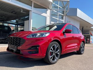 Ford Kuga Gebrauchtwagen Kaufen
