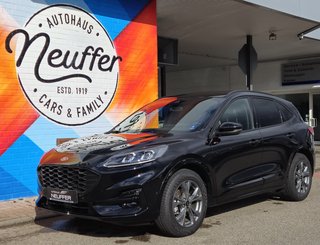 Ford Kuga Gebrauchtwagen Kaufen
