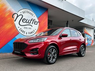 Ford Kuga Gebrauchtwagen Kaufen