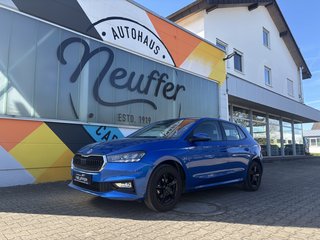 Skoda Fabia Gebrauchtwagen Kaufen