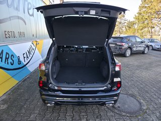 Ford Kuga Plug-In Hybrid ST-Line X - bilder 8