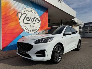 Ford Kuga Gebrauchtwagen Kaufen