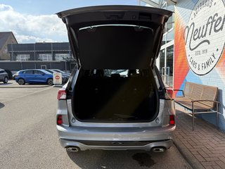 Ford Kuga ST-Line X/Panoschiebedach/ACC/Rfkamera - bilder 7