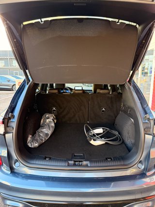 Ford Kuga Plug-In Hybrid ST-Line X, Technologie-Paket, Winter-Paket - bilder 7