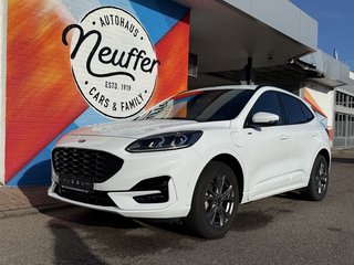 Ford Kuga Gebrauchtwagen Kaufen