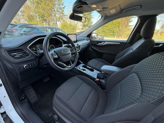 Ford Kuga Plug-In Hybrid Cool & Connect /AHK schwenkbar - foto 10